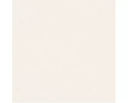 Обои однотонныйе белые Euro Decor виниловые Romanov арт.7139-00